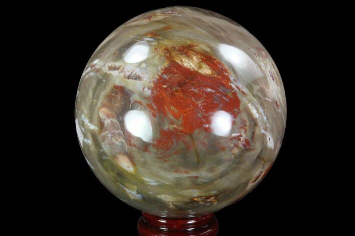 Colorful Petrified Wood Sphere - Madagascar #92986